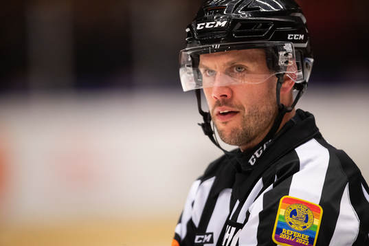 Domare Johan Magnusson