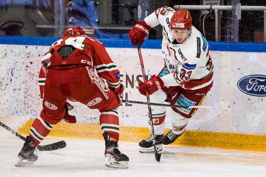 Modos Max Tjernström