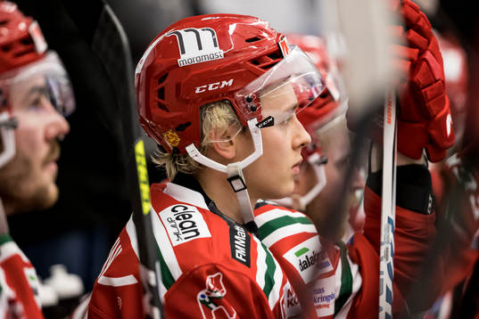 Moras Igor Larionov