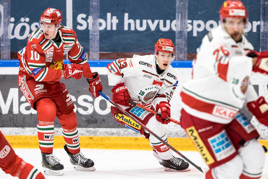 Modos Max Tjernström