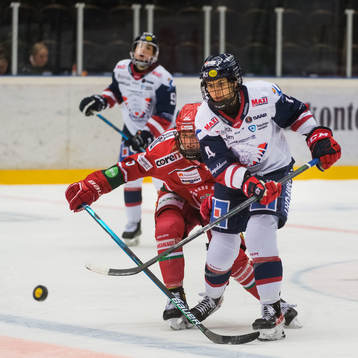 MODOs Modos Daniela Pejsova