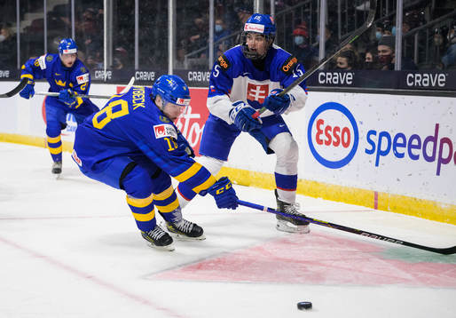 Zion Nybeck of Sweden and Dalibor Dvorsky of Slovakia