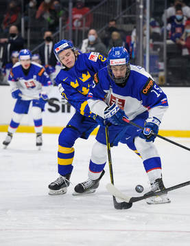 Theodor Niederbach of Sweden and Dalibor Dvorsky of Slovakia