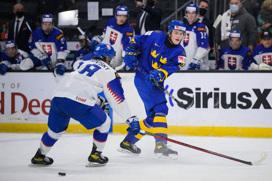Servac Petrovsky of Slovakia and Oskar Olausson of Sweden