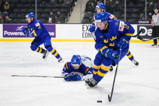 Maros Jedlicka of Slovakia and Victor Sjöholm of Sweden