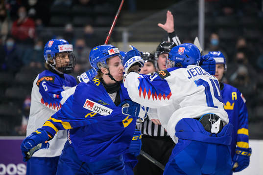 Leo Lööf of Sweden in a fight with Maros Jedlicka of