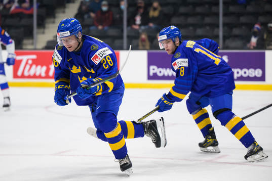 Oskar Magnusson and Zion Nybeck of Sweden