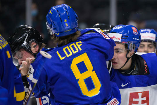 Leo Lööf of Sweden in a fight with Maros Jedlicka of