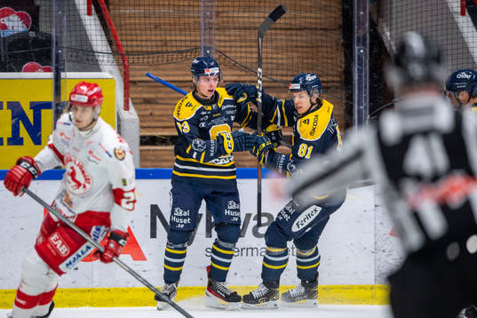 Södertäljes Ludvig Jansson jublar