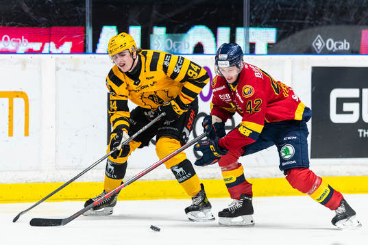 Skellefteås Linus Karlsson och deppar Ludvig Hedström