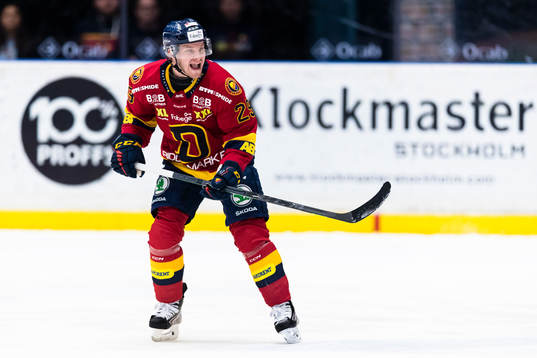 Djurgårdens Sebastian Strandberg