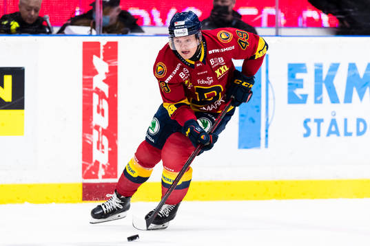Djurgårdens Rhett Rakhshani