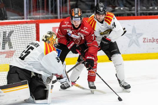 Brynäs målvakt Veini Vehviläinen och Emil Molin