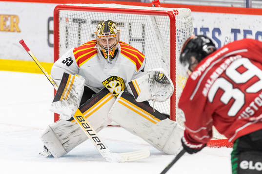 Brynäs målvakt Veini Vehviläinen