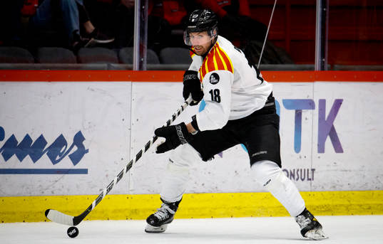 Brynäs Anton Rödin
