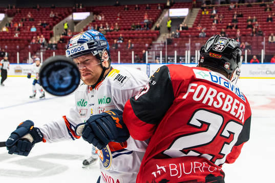 Bläddra bland fler bilder av Ishockey, SHL, Malmö Redhawks - Växjö