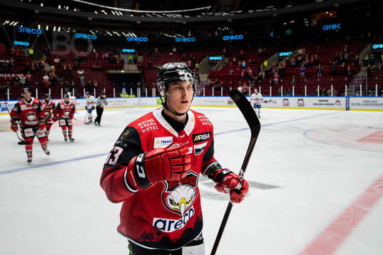 Malmö Redhawks Fredrik Händemark jublar