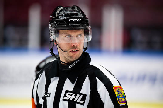 Domare Johan Magnusson