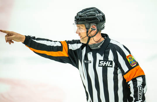 Domare Mikael Nord