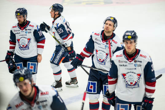 Linköpings Alexander Johansson och Max Lindroth deppar