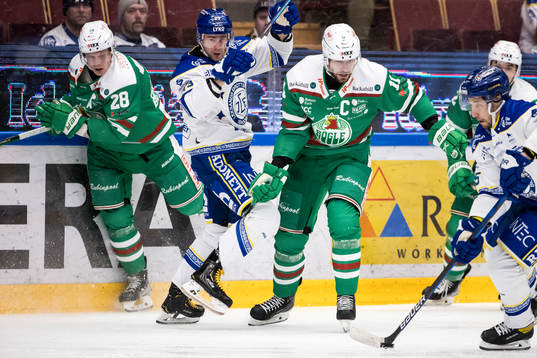 Leksands Mikael Ruohomaa och Rögles Mattias Sjögren