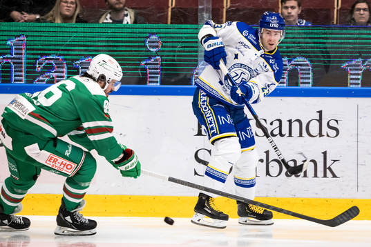 Leksands Mikael Ruohomaa