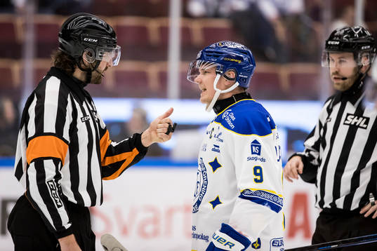 Domare Mikael Sjöqvist och Leksands Patrik Zackrisson