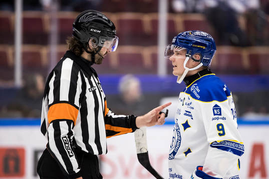 Domare Mikael Sjöqvist och Leksands Patrik Zackrisson