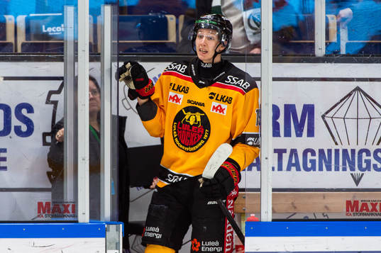Luleås Carl Mattsson i utvisningsbåset