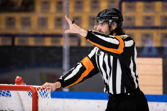 Domare Mikael Sjöqvist