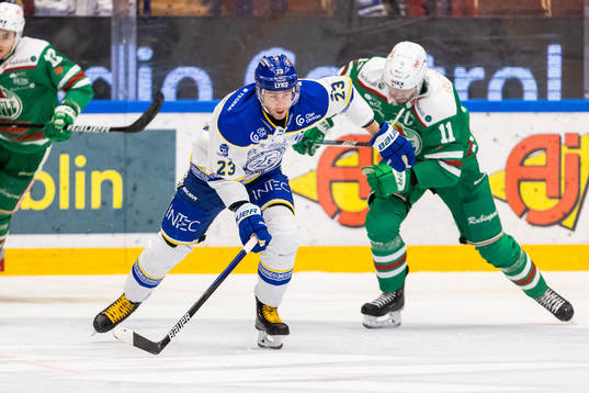 Leksands Mikael Ruohomaa och Rögles Mattias Sjögren