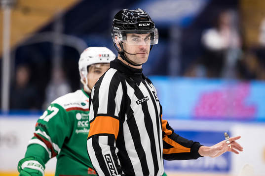 Domare Richard Magnusson