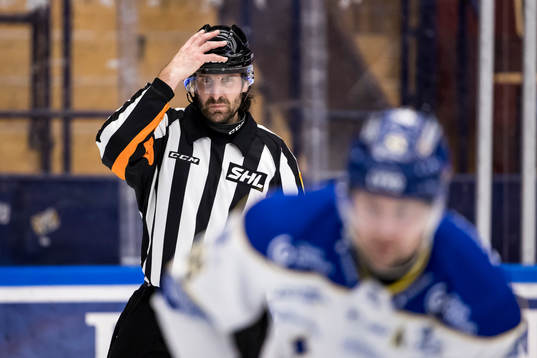 Domare Mikael Sjöqvist