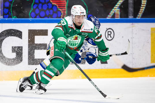 Rögles Leon Bristedt