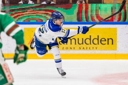 Leksands Erik Hedlund