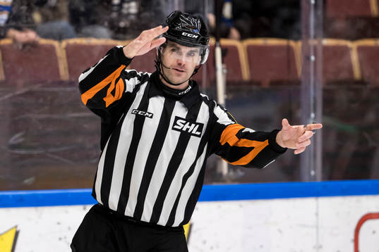 Domare Richard Magnusson