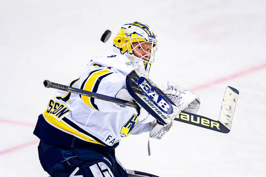 s målvakt Jonas Gunnarsson