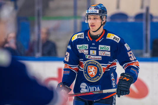 Växjös Theodor Johnsson