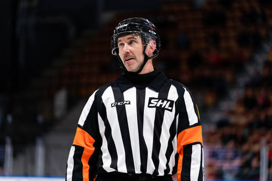 Domare Linus Öhlund