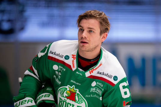 Rögles Leon Bristedt