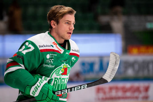 Rögles Leon Bristedt