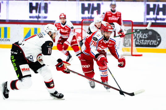 Timrås Robin Hanzl