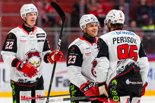 Malmö Redhawks Christoffer Forsberg jublar med målskytten