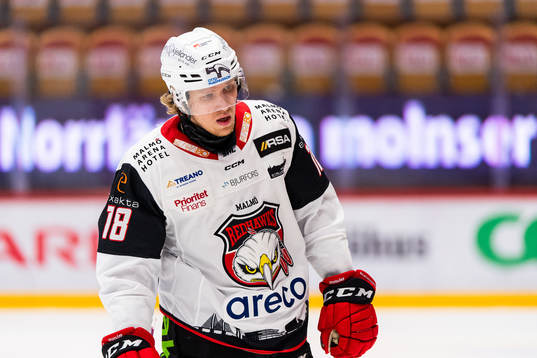 Malmö Redhawks Marcus Sylvegård deppar