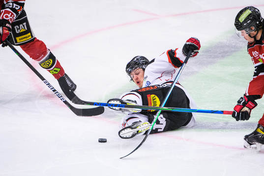 Piteås Isak Stenlund-Ädelgran