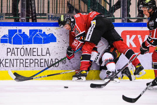 Bodens Anton Danielsson