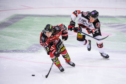 Bodens Linus Hedman