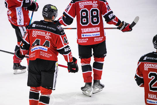 Boden-spelares ryggar