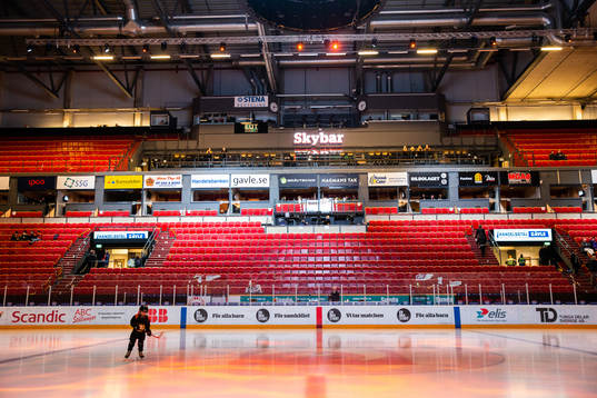 Monitor ERP Arena