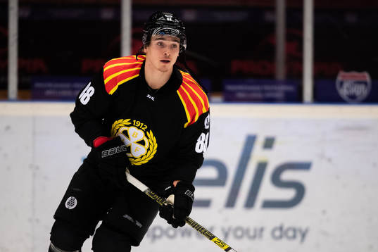 Brynäs Dmytro Timashov